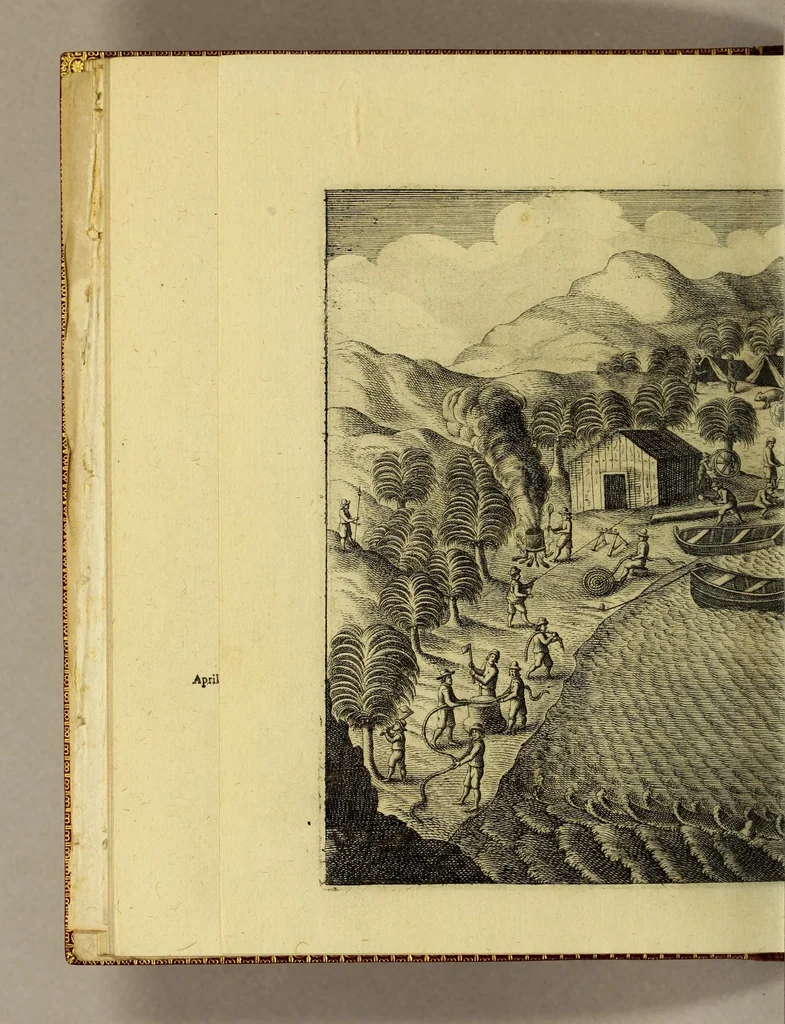 An illustration from Die vier vnd zwantzigste Schiffahrt, in welcher mit wahren Vmbständen beschrieben wird, erstlich Die denckwürdige Reyse nach Ost Indien, S. Wilhelm Issbrands Bontekuhe von Horn: vorgenommen den 28. Decemb. 1618. vnd vollbracht den 16. Novemb. 1625. : Demnach: eine andere Reyse, durch den Commandeur Türck Alberts Raven, nach Spitzbergen, im Jahr 1639. verrichtet. In welchen vnterschiedlich viel merckwürdige Händel vnd Fälle gründlich erzehlet werden. Beneben darzu nothwendigen Kupfferstücken., 1648, leaf 96