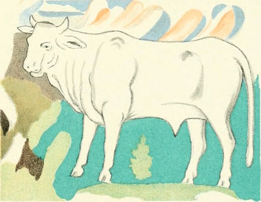 An illustration from Die Wandmosaiken von Ravenna, 1912, leaf 312