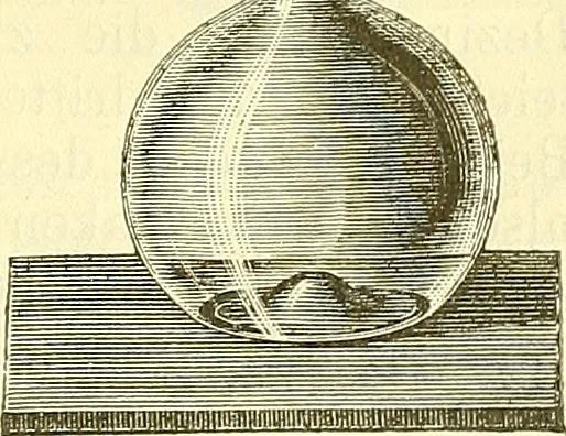 An illustration from Die wissenschaftliche Ausbildung des Apothekerlehrlings und seine Vorbereitung zum Gehülfenexamen : mit Rücksicht auf die neuesten Anforderungen, 1884, leaf 37