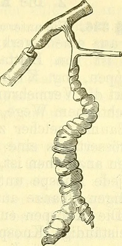 An illustration from Die wissenschaftliche Ausbildung des Apothekerlehrlings und seine Vorbereitung zum Gehülfenexamen : mit Rücksicht auf die neuesten Anforderungen, 1884, leaf 373