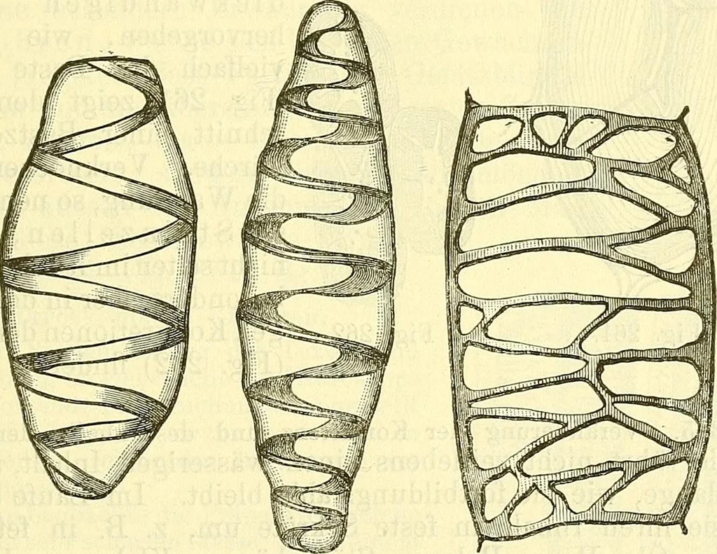 An illustration from Die wissenschaftliche Ausbildung des Apothekerlehrlings und seine Vorbereitung zum Gehülfenexamen : mit Rücksicht auf die neuesten Anforderungen, 1884, leaf 429