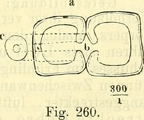 An illustration from Die wissenschaftliche Ausbildung des Apothekerlehrlings und seine Vorbereitung zum Gehülfenexamen : mit Rücksicht auf die neuesten Anforderungen, 1884, leaf 429