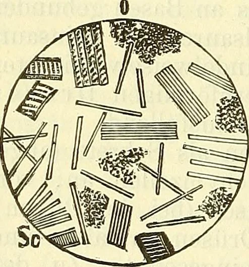 An illustration from Die wissenschaftliche Ausbildung des Apothekerlehrlings und seine Vorbereitung zum Gehülfenexamen : mit Rücksicht auf die neuesten Anforderungen, 1884, leaf 450