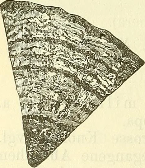 An illustration from Die wissenschaftliche Ausbildung des Apothekerlehrlings und seine Vorbereitung zum Gehülfenexamen : mit Rücksicht auf die neuesten Anforderungen, 1884, leaf 582