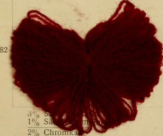 An illustration from Die Wollfarbstoffe des Jahres 1913 = b Wool colours 1913, 1913, leaf 56
