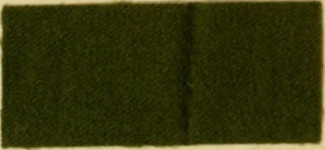 An illustration from Die Wollfarbstoffe des Jahres 1913 = b Wool colours 1913, 1913, leaf 59