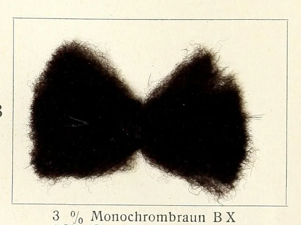 An illustration from Die Wollfarbstoffe des Jahres 1912 = Wool colours 1912 = Les colorants pour laine de l'année 1912, 1912, leaf 34