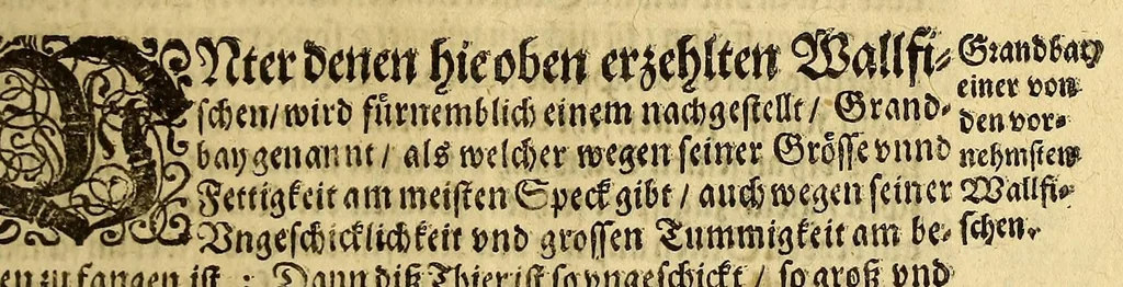 An illustration from Die XXVI, Schiff-Fahrt: Beschreibung einer höchst-mühseligen vnd ganz gefährlichen Reyse, durch den See-Verstandigen Capitain, Herrn Johann Müncken, inn Jahren 1619. vnd 1620. verrichtet. : Nach dem er von Weyland dem Durcheuchtigsten Fürsten vnd Herrn, Herrn Christiano IV. König in Dennemarck, Norwegen, &c. befelcht worden, mit zweyen Schiffen nach dem Freto oder der Enge-Hudsons zu segeln, vmb zu versuchen, ob nicht deren Gegend eine Enge, so Groenland von America abscheide, vnd also eine Durchfahrt nach Ost-Indien zu finden: sampt vorhergehender gardeutlichen Erläuterung dess alten vnd newen Groenlands, zu gegenwärtiger Schiff-Fahrts-Beschreibung insonderheit dienlich, 1650, leaf 81