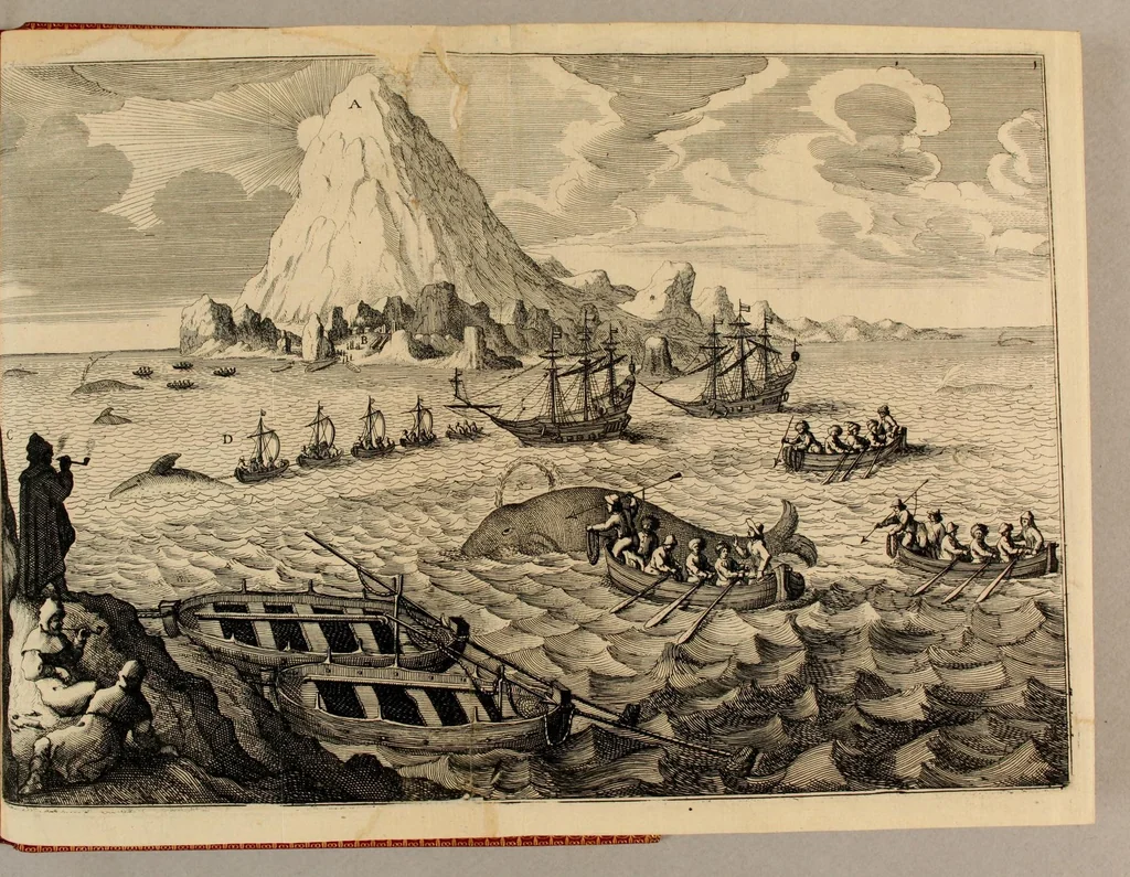 An illustration from Die XXVI, Schiff-Fahrt: Beschreibung einer höchst-mühseligen vnd ganz gefährlichen Reyse, durch den See-Verstandigen Capitain, Herrn Johann Müncken, inn Jahren 1619. vnd 1620. verrichtet. : Nach dem er von Weyland dem Durcheuchtigsten Fürsten vnd Herrn, Herrn Christiano IV. König in Dennemarck, Norwegen, &c. befelcht worden, mit zweyen Schiffen nach dem Freto oder der Enge-Hudsons zu segeln, vmb zu versuchen, ob nicht deren Gegend eine Enge, so Groenland von America abscheide, vnd also eine Durchfahrt nach Ost-Indien zu finden: sampt vorhergehender gardeutlichen Erläuterung dess alten vnd newen Groenlands, zu gegenwärtiger Schiff-Fahrts-Beschreibung insonderheit dienlich, 1650, leaf 87