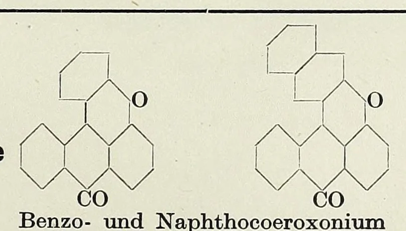 An illustration from Die Zwischenproducte der Teerfarbenfabrikation : ein Tabellenwerke für den praktischen Gebrauch nach der Patentliteratur, 1920, leaf 613