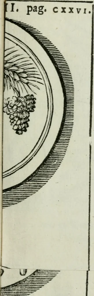 An illustration from Difesa dell' alfabeto degli antichi Toscani pubblicato nel MDCCXXXVII dall' autore del Museo etrusco : disapprovato dall' illustrissimo sig. marchese Scipione Maffei nel tomo V. delle sue Osservazioni letterarie, date in luce in Verona : con tavole e figure, 1742, leaf 146