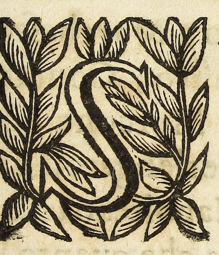An illustration from Difesa della nobilta napoletana, 1655, leaf 11
