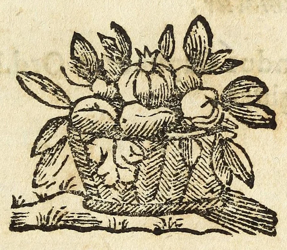 An illustration from Difesa della nobilta napoletana, 1655, leaf 17
