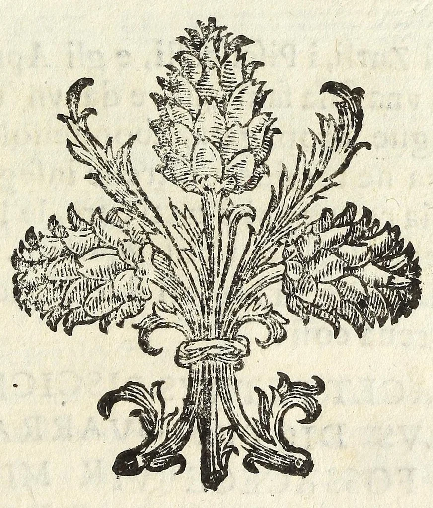 An illustration from Difesa della nobilta napoletana, 1655, leaf 55