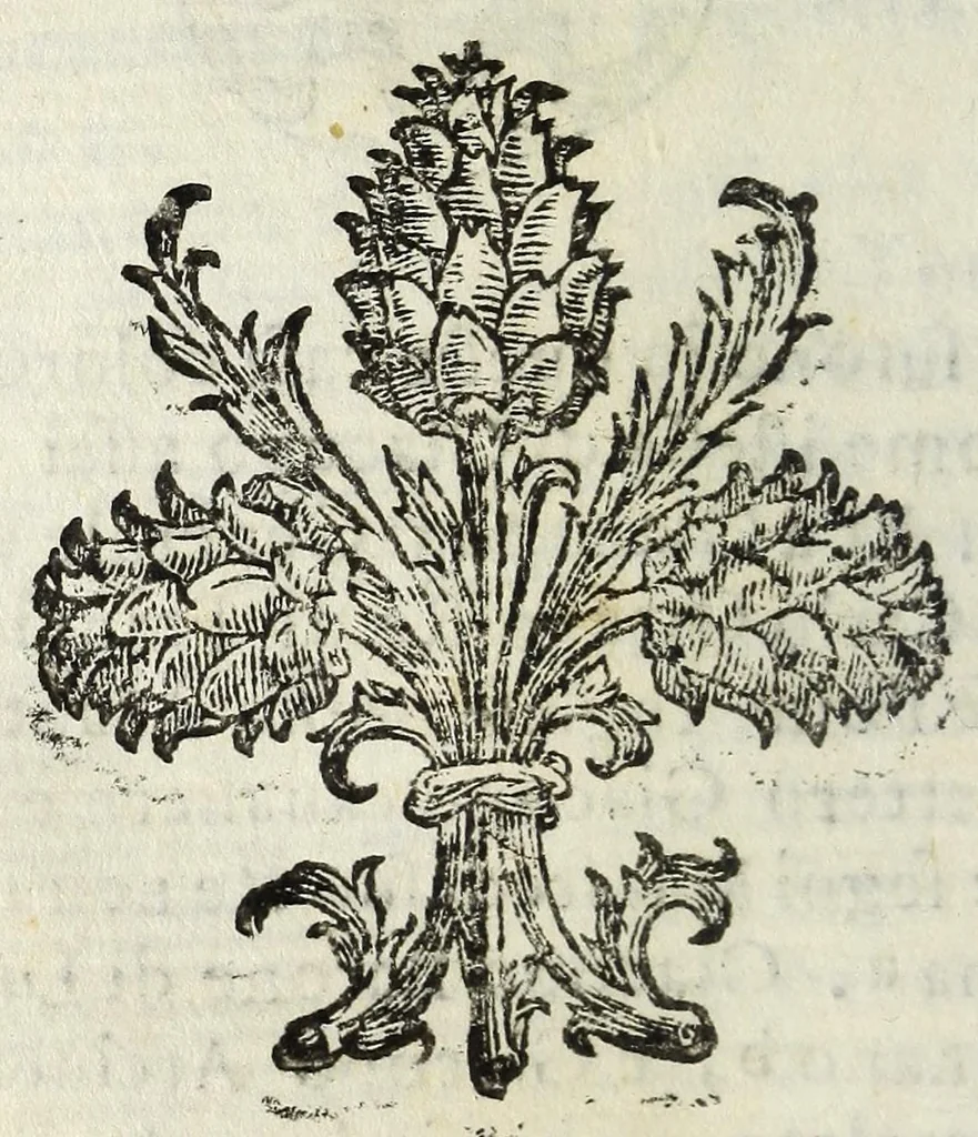 An illustration from Difesa della nobilta napoletana, 1655, leaf 68