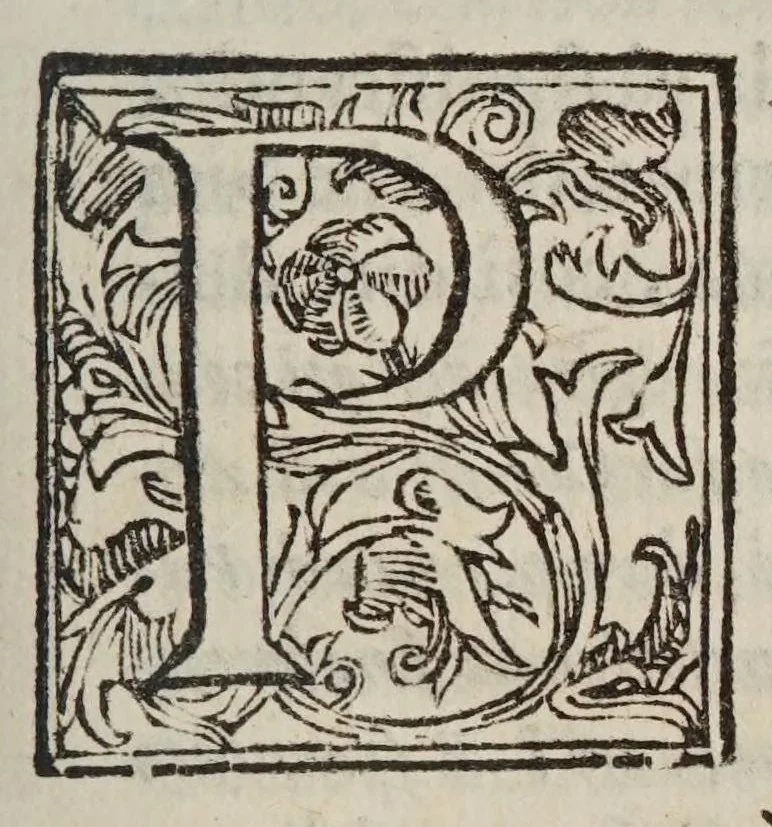 An illustration from Difesa di Scipione Chiaramonti da Cesena al svo Antiticone : e libro delle tre nuoue stelle dall'oppositioni dell'avtore de' due massimi sistemi tolemaico, e copernicano. Nella qvale si sostiene, che la nuoua stella del 72. non fù celeste: si difende Arist. ne' suoi principali dogmi del cielo: si rifiutano i principij della nuoua filosofia, e l'addotto in difesa, e proua del sistema copernicano. --, 1633, leaf 19