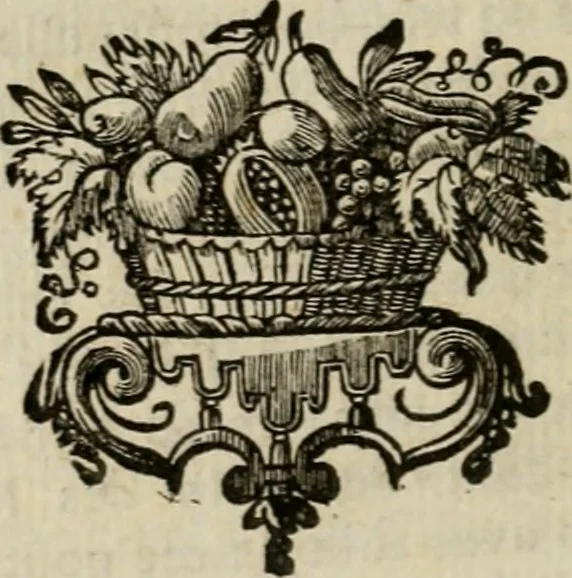 An illustration from Catalogue raisonné des differens effets curieux & rares contenus dans le cabinet de feu M. le chevalier de La Roque : ce cabinet renferme une collection considerable de tableaux, de desseins, & d'estampes des meilleurs maîtres; de figures de bronze & de marbre; de porcelaines anciennes ... de pierres ... de coquilles, & enfin de nombre d'autres morceaux interressans de divers genres, 1745, leaf 149