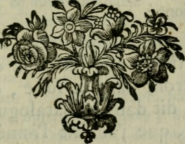 An illustration from Catalogue raisonné des differens effets curieux & rares contenus dans le cabinet de feu M. le chevalier de La Roque : ce cabinet renferme une collection considerable de tableaux, de desseins, & d'estampes des meilleurs maîtres; de figures de bronze & de marbre; de porcelaines anciennes ... de pierres ... de coquilles, & enfin de nombre d'autres morceaux interressans de divers genres, 1745, leaf 216