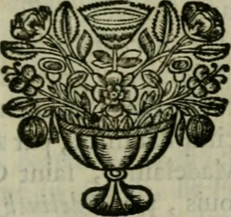 An illustration from Catalogue raisonné des differens effets curieux & rares contenus dans le cabinet de feu M. le chevalier de La Roque : ce cabinet renferme une collection considerable de tableaux, de desseins, & d'estampes des meilleurs maîtres; de figures de bronze & de marbre; de porcelaines anciennes ... de pierres ... de coquilles, & enfin de nombre d'autres morceaux interressans de divers genres, 1745, leaf 220