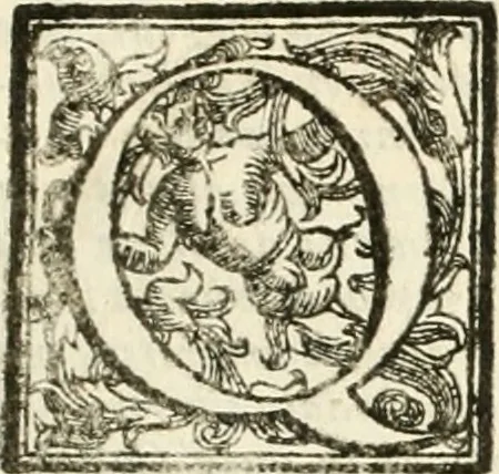 An illustration from Diffesa et offesa delle piazze, 1630, leaf 8