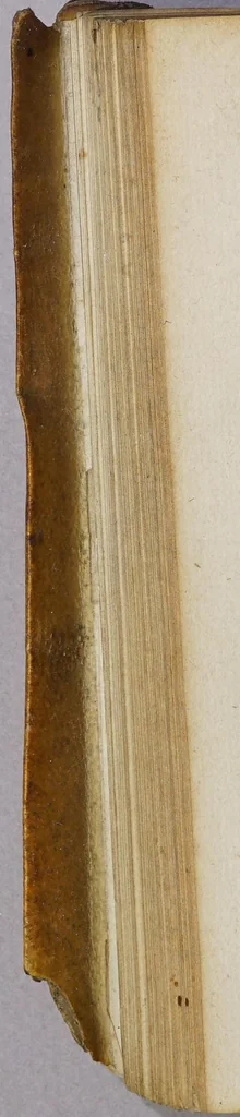 An illustration from Di Gerusalemme conquistata., 1595, leaf 264