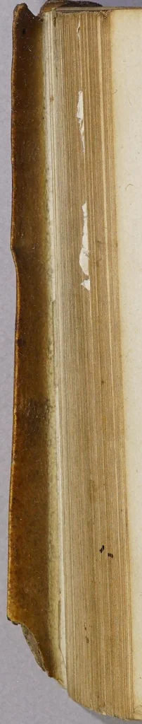An illustration from Di Gerusalemme conquistata., 1595, leaf 538