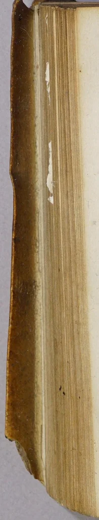 An illustration from Di Gerusalemme conquistata., 1595, leaf 700