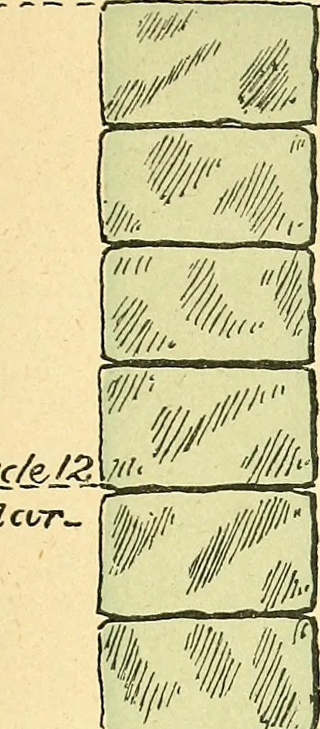 An illustration from Digest of the statutes relating to the inspection and constrution of buildings in the city of Boston, 1886, 1886, leaf 18