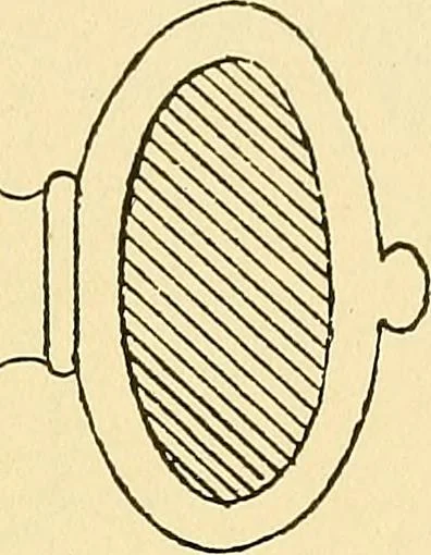 An illustration from Digest of the statutes and of the ordinances relating to the construction, maintenance and inspection of buildings in the city of Boston, 1901, 1901, leaf 267