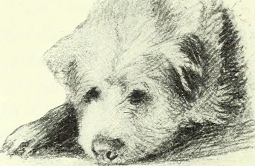 An illustration from The digressions of V., written for his own fun and that of his friends, 1910, leaf 102
