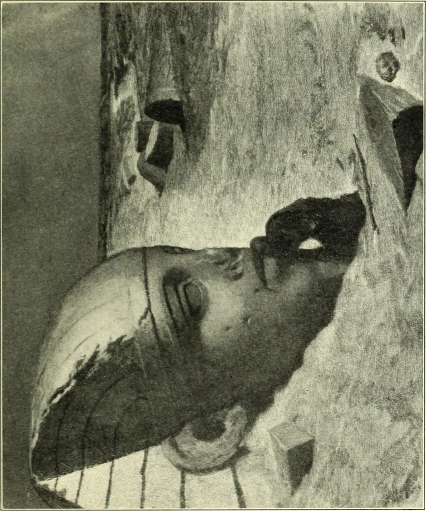 An illustration from The digressions of V., written for his own fun and that of his friends, 1910, leaf 267