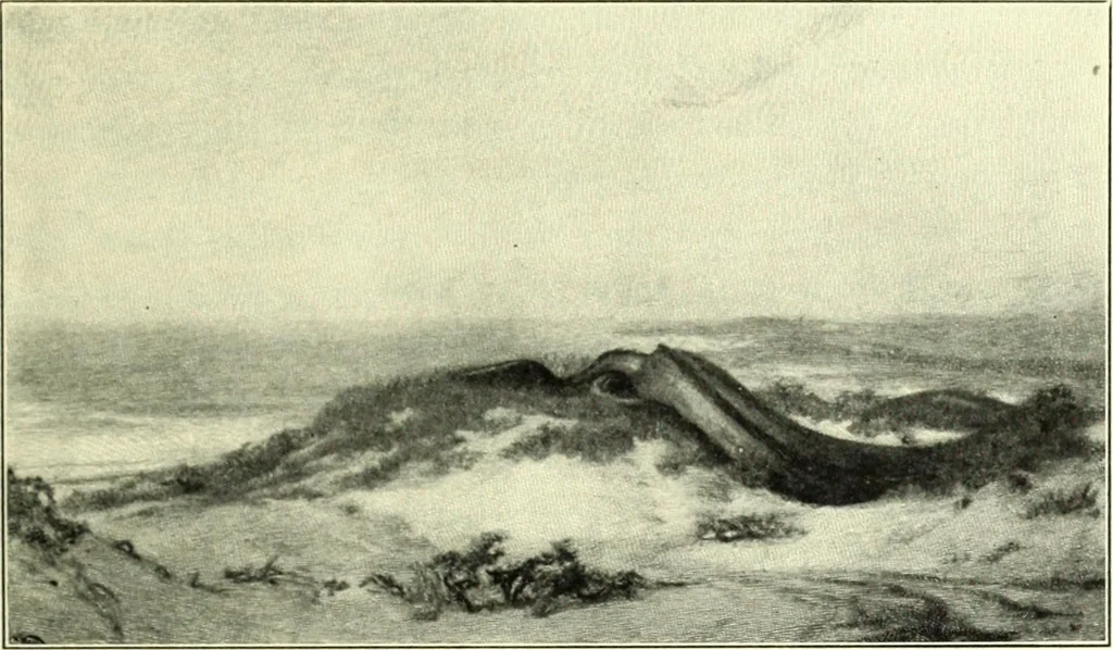 An illustration from The digressions of V., written for his own fun and that of his friends, 1910, leaf 285