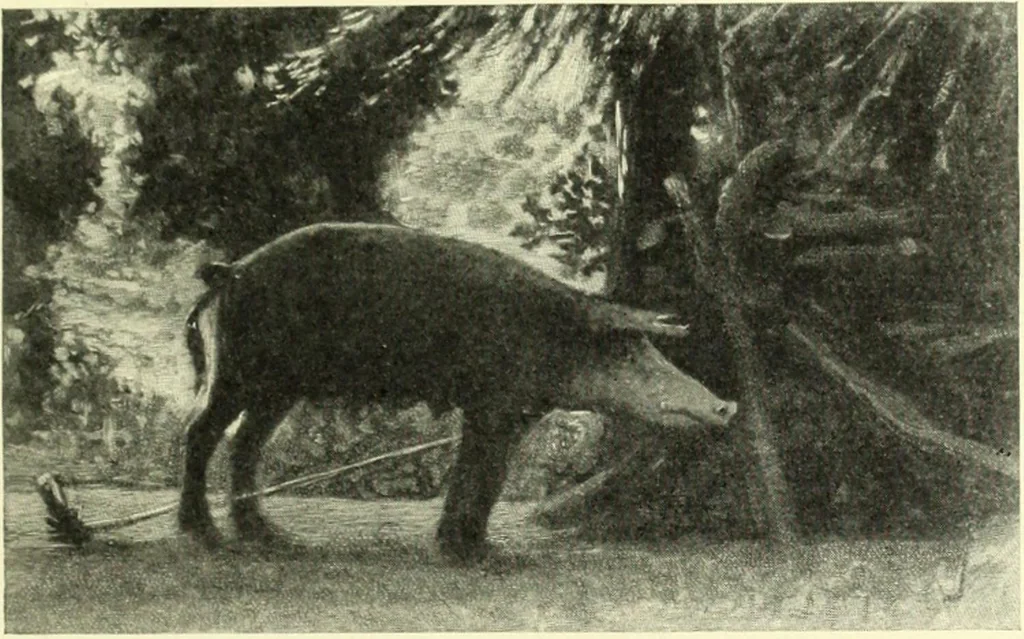 An illustration from The digressions of V., written for his own fun and that of his friends, 1910, leaf 467