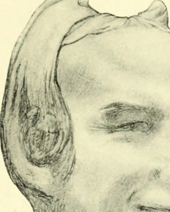 An illustration from The digressions of V., written for his own fun and that of his friends, 1910, leaf 547