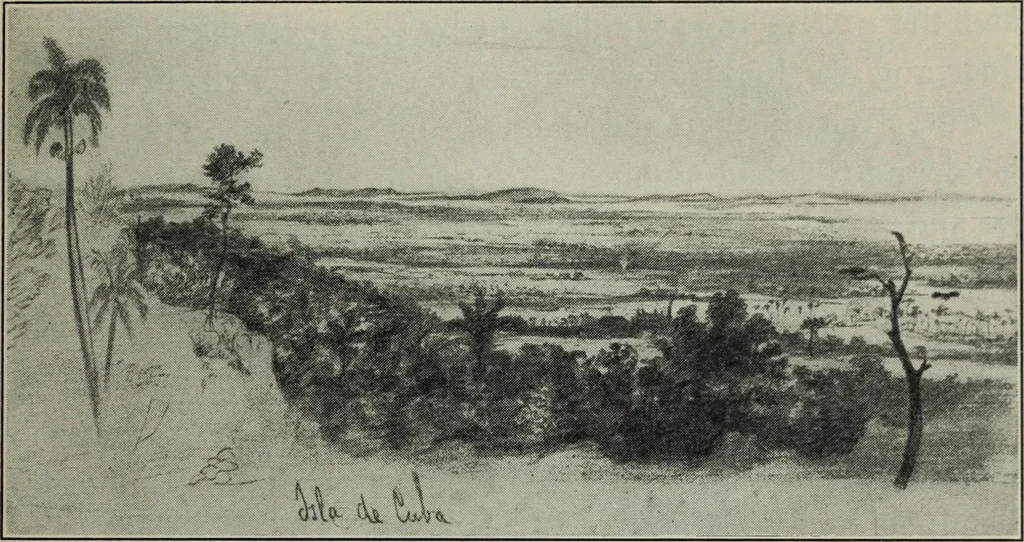 An illustration from The digressions of V. : written for his own fun and that of his friends, 1910, leaf 134