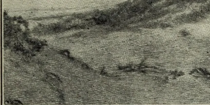 An illustration from The digressions of V. : written for his own fun and that of his friends, 1910, leaf 282
