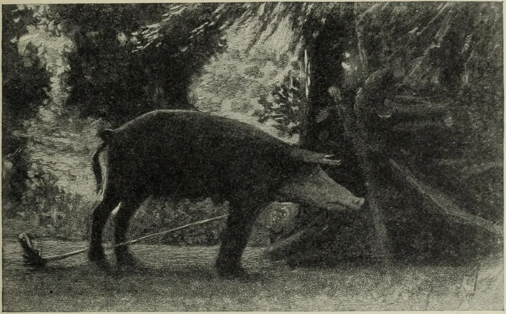 An illustration from The digressions of V. : written for his own fun and that of his friends, 1910, leaf 464