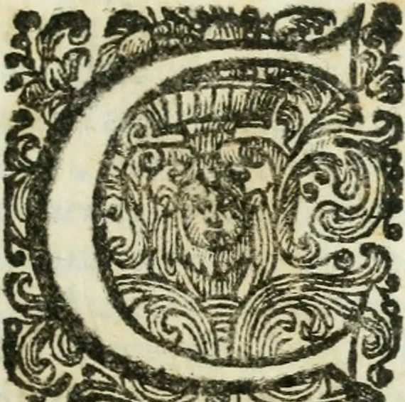 An illustration from Il ritratto di Milano : diuiso in tré libri, 1714, leaf 14