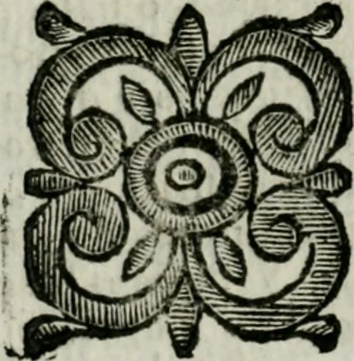 An illustration from Il ritratto di Milano : diuiso in tré libri, 1714, leaf 349