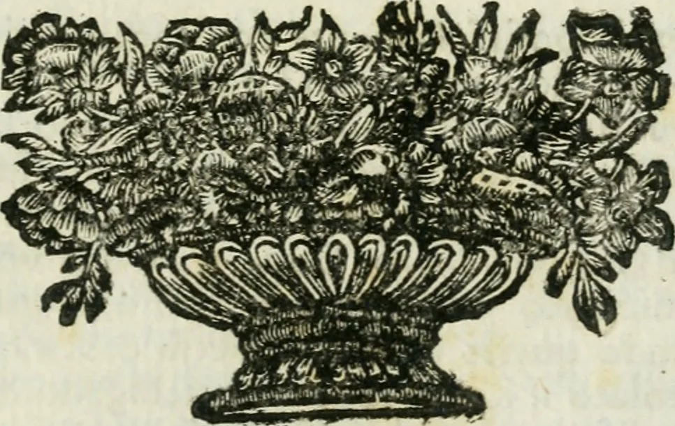 An illustration from Il ritratto di Milano : diuiso in tré libri, 1714, leaf 400