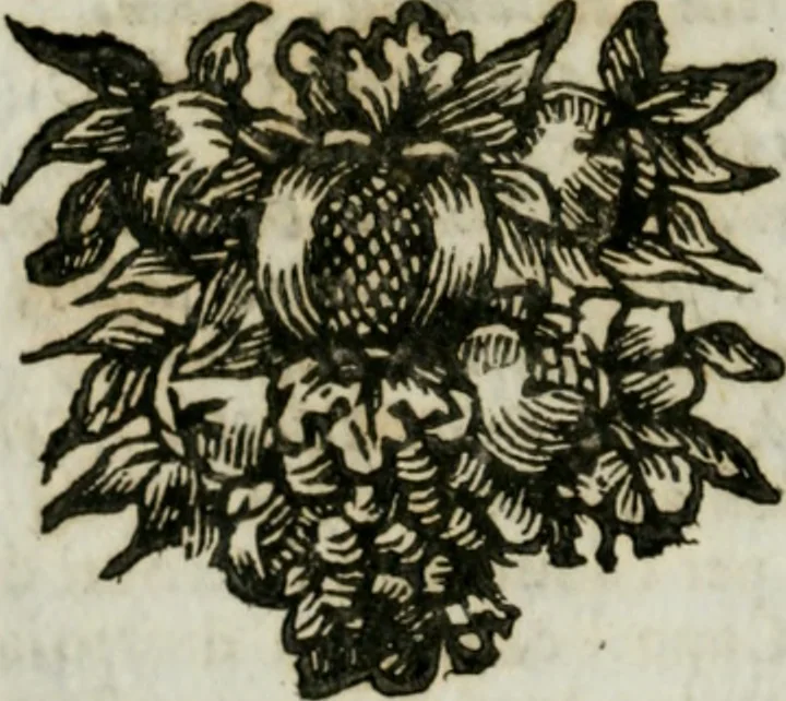 An illustration from Il ritratto di Milano : diuiso in tré libri, 1714, leaf 77
