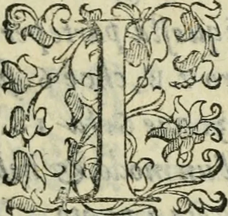 An illustration from Del modo di misvrare : le distantie, le superficie, i corpi, le piante, le prouincie, le prospettiue, & tutte le altre cose terrene, che possono occurrere a gli huomini, secondo le vere regole d'Euclide, & de gli altri piu lodati scrittori, 1589, leaf 108