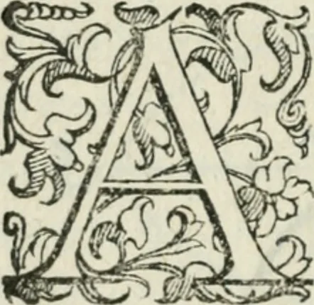 An illustration from Del modo di misvrare : le distantie, le superficie, i corpi, le piante, le prouincie, le prospettiue, & tutte le altre cose terrene, che possono occurrere a gli huomini, secondo le vere regole d'Euclide, & de gli altri piu lodati scrittori, 1589, leaf 151