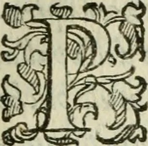 An illustration from Del modo di misvrare : le distantie, le superficie, i corpi, le piante, le prouincie, le prospettiue, & tutte le altre cose terrene, che possono occurrere a gli huomini, secondo le vere regole d'Euclide, & de gli altri piu lodati scrittori, 1589, leaf 178