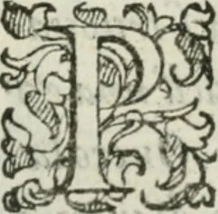 An illustration from Del modo di misvrare : le distantie, le superficie, i corpi, le piante, le prouincie, le prospettiue, & tutte le altre cose terrene, che possono occurrere a gli huomini, secondo le vere regole d'Euclide, & de gli altri piu lodati scrittori, 1589, leaf 183