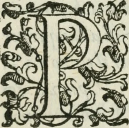 An illustration from Del modo di misvrare : le distantie, le superficie, i corpi, le piante, le prouincie, le prospettiue, & tutte le altre cose terrene, che possono occurrere a gli huomini, secondo le vere regole d'Euclide, & de gli altri piu lodati scrittori, 1589, leaf 197
