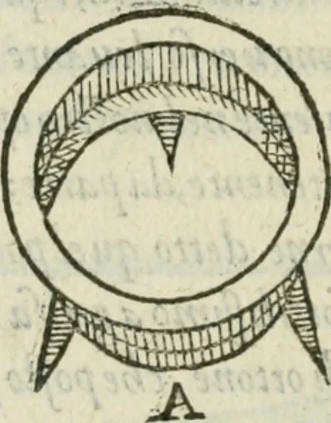 An illustration from Del modo di misvrare : le distantie, le superficie, i corpi, le piante, le prouincie, le prospettiue, & tutte le altre cose terrene, che possono occurrere a gli huomini, secondo le vere regole d'Euclide, & de gli altri piu lodati scrittori, 1589, leaf 203
