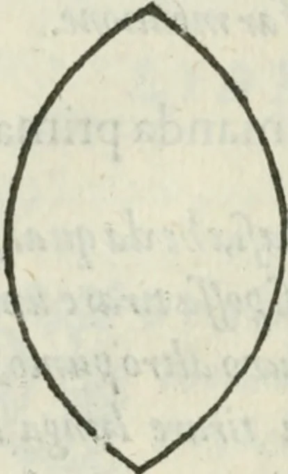 An illustration from Del modo di misvrare : le distantie, le superficie, i corpi, le piante, le prouincie, le prospettiue, & tutte le altre cose terrene, che possono occurrere a gli huomini, secondo le vere regole d'Euclide, & de gli altri piu lodati scrittori, 1589, leaf 231