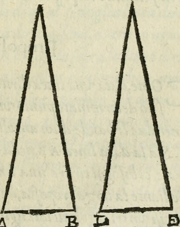 An illustration from Del modo di misvrare : le distantie, le superficie, i corpi, le piante, le prouincie, le prospettiue, & tutte le altre cose terrene, che possono occurrere a gli huomini, secondo le vere regole d'Euclide, & de gli altri piu lodati scrittori, 1589, leaf 238