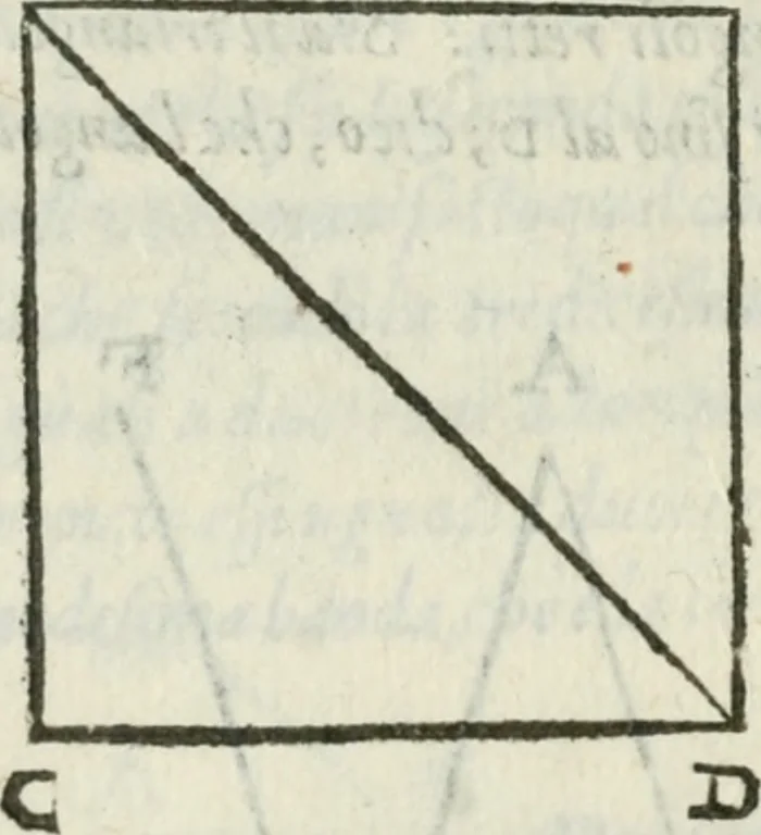 An illustration from Del modo di misvrare : le distantie, le superficie, i corpi, le piante, le prouincie, le prospettiue, & tutte le altre cose terrene, che possono occurrere a gli huomini, secondo le vere regole d'Euclide, & de gli altri piu lodati scrittori, 1589, leaf 253